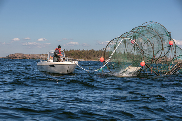 Kalastajien kyydissä Itämerellä